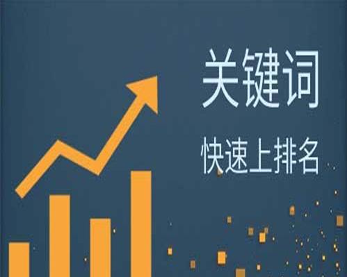 SEO技巧分享（掌握这些技巧）