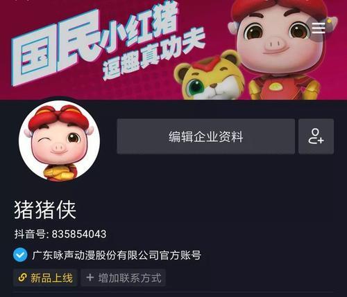 揭秘抖音100万点赞的价值，竟然高达多少人民币！（探究100万点赞对于抖音和个人的影响）