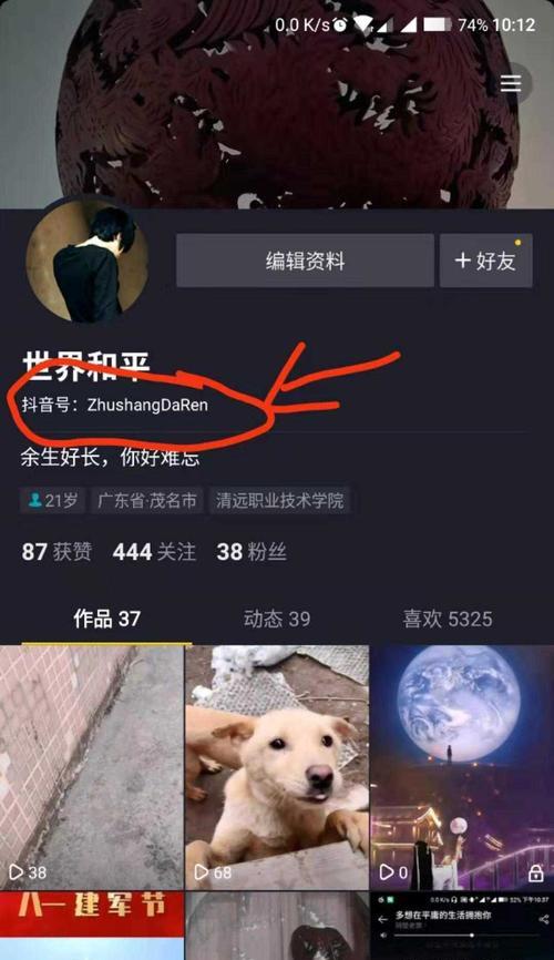 抖音点赞收入揭秘（掌握这些技巧）