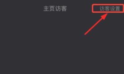 抖音访客隐私大揭秘（抖音访客列表有多少隐私危机）