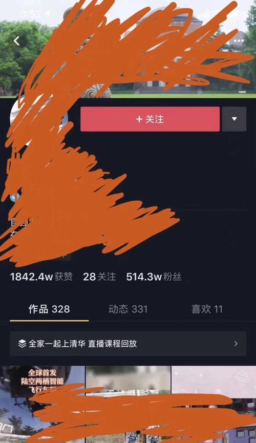 抖音渠道号详解（了解抖音渠道号的含义和使用方法）