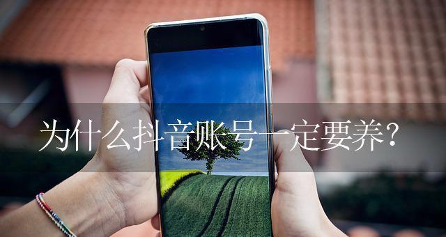 抖音养号大揭秘——如何快速涨粉？（从个人资料设置到内容策略）