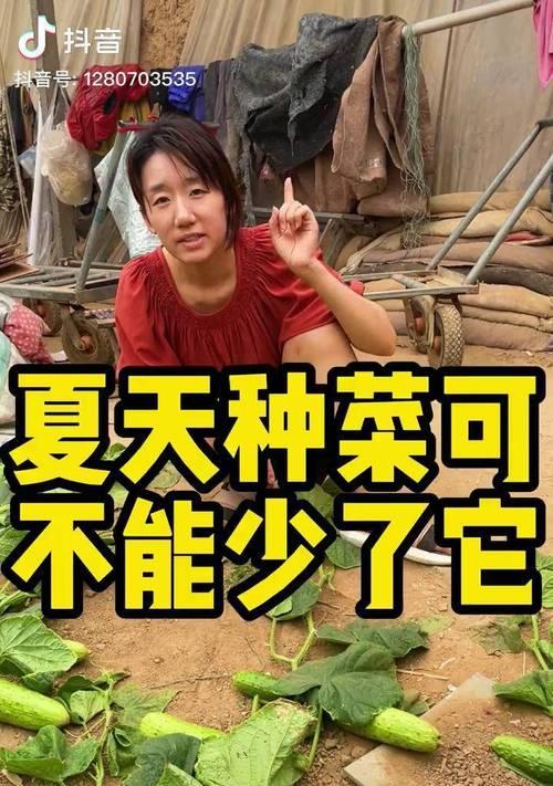 抖音，助力（探秘抖音号的特色内容和创新模式）