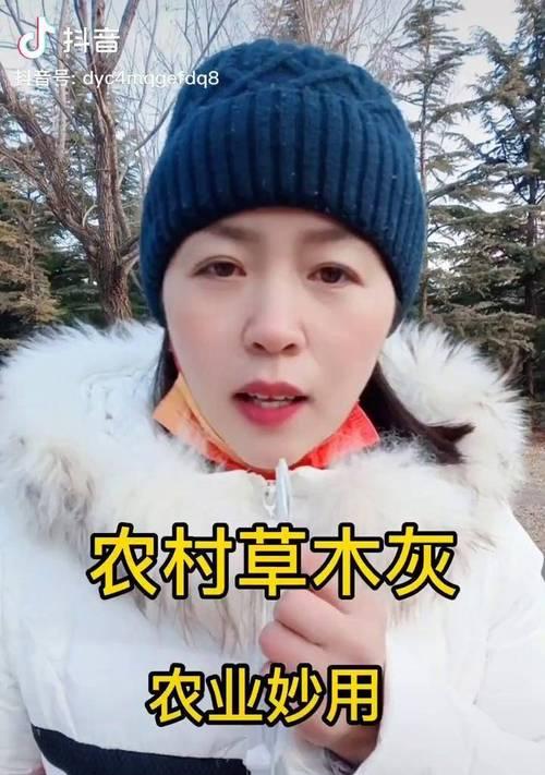 抖音，助力（探秘抖音号的特色内容和创新模式）