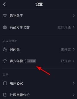 抖音帶給我們的生活變化（如何通過抖音享受時尚生活）