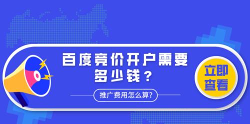 百度竞价推广的多种形式（掌握百度竞价推广的不同形式）