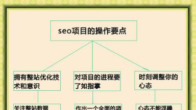 常见SEO问题分析及解决方案（掌握这些技巧）