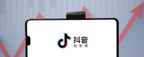 抖音海外版TikTok国内能用吗（国内使用的可能性）