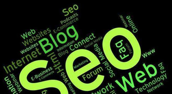 SEO优化新手必须掌握的知识详解（全面了解SEO）