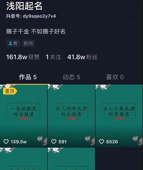 抖音一千多粉丝也能轻松挣钱（如何在抖音上利用小众粉丝群体开启赚钱之路）