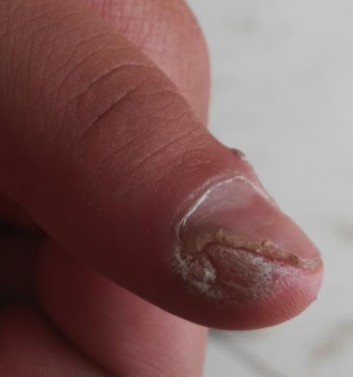 恶意外部链接不影响网站排名的原因解析（揭开恶意链接对网站排名的真相）