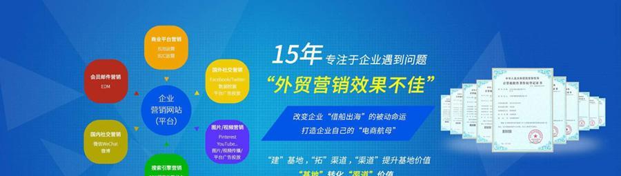 分析常见网站推广运营模式（探索成功网站推广的奥秘）