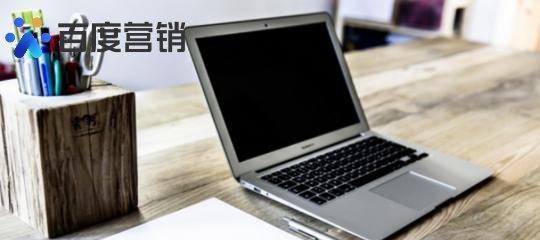 分享网站推广技巧（从社交媒体到SEO）