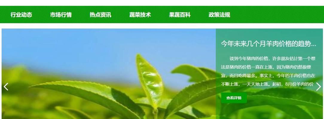 高pr值高权重论坛网站分享（掌握高质量外链）