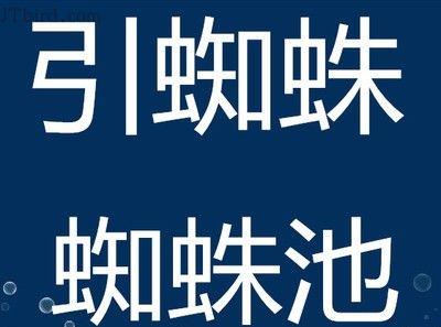 黑帽优化中的蜘蛛池搭建（如何利用蜘蛛池进行黑帽优化）