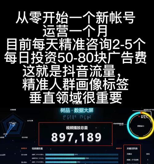 抖音付费推广全攻略（掌握付费推广的技巧和方法）