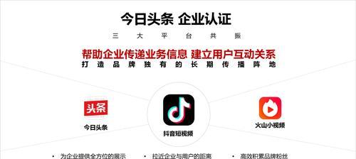 如何将抖音帐号认证为主题（认证流程）