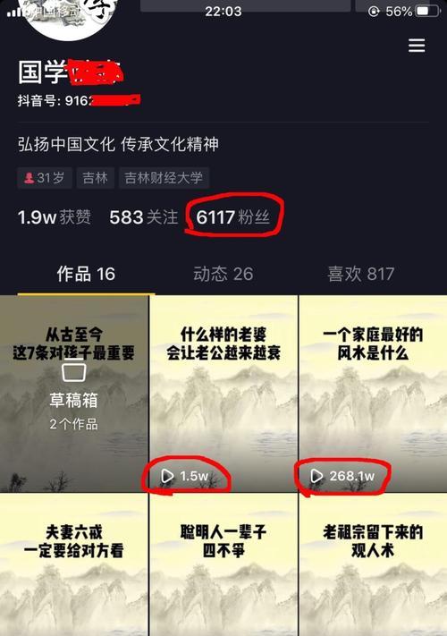 为什么我的抖音作品播放量是0（探究抖音作品播放量为0的原因以及解决方法）