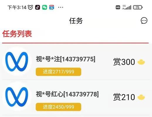 视频号点赞推广方案，让您快速提升粉丝量（打造热门视频）