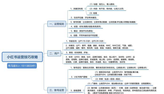 小红书运营模式解析（洞悉社交电商的未来发展趋势）