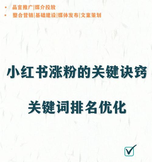 小红书攻略（掌握小红书深度运营技巧）