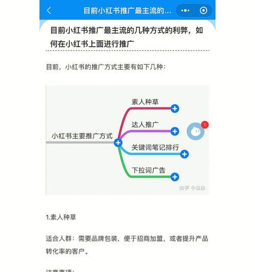 小红书推广攻略（打造个人品牌的利器）