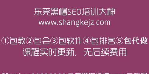 探究白帽SEO优化的价值与实践（揭秘白帽SEO优化的真相）