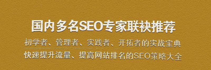 如何提升SEO技能水平（掌握SEO的核心技巧）