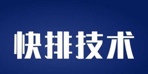 揭秘黑帽技術的危害（黑帽技術的定義及常見形式）