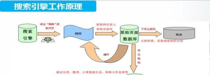 搜索引擎网站收录的原理是什么（从爬虫到排名）