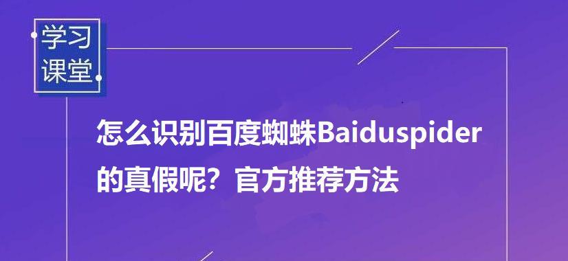 提升SEO优化，让蜘蛛爬行更畅通（优化网站结构）