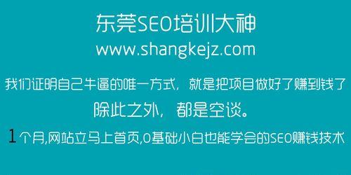 提高百度蜘蛛抓取网站的频率（小技巧让您的网站更受欢迎）