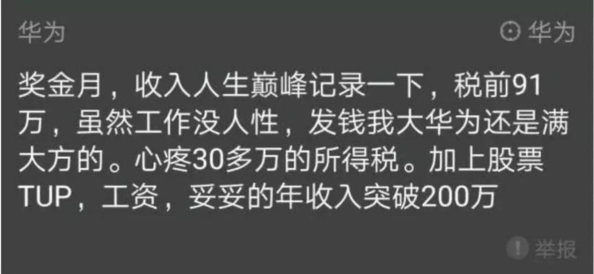 同行网站排名始终靠前的重要原因（揭秘同行网站成功的秘密）