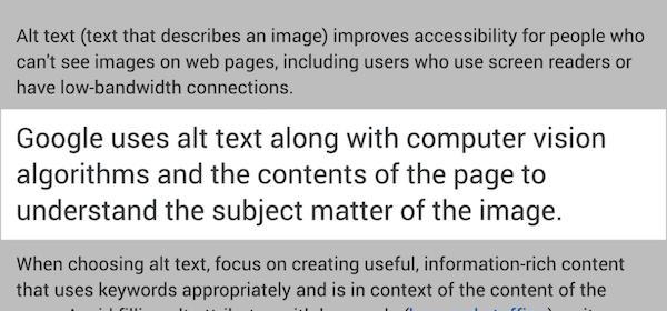 图像ALT属性在网站优化中的重要性（如何优化图像ALT属性）