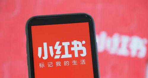 如何利用小红书实现品牌推广（小红书推广方法详解）