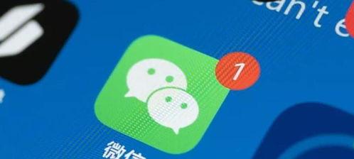 微信视频号直播带货（从选品到推广，打造稳定赚钱的直播带货模式）
