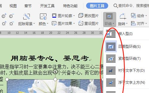 如何设置网站的三要素以凸显主题（掌握主题的关键——合理设置网站三要素）