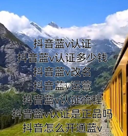 抖音蓝V认证价格与流程详解