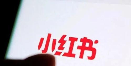 掌握小红书引流推广的准确费用计算方法（小红书引流推广费用详解）