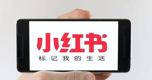 小红书笔记发文章攻略（从主题到结尾，轻松打造有趣的笔记文章）