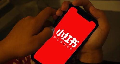 小红书开网店的步骤和要求（小红书网店开店指南）