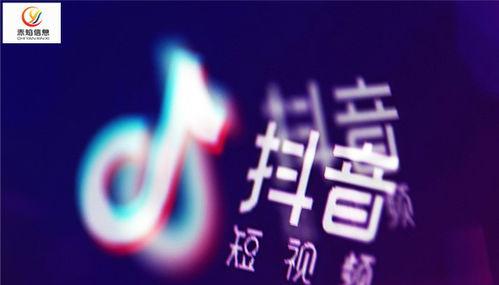 TikTok 24小时响应率（为用户提供更好的使用体验）