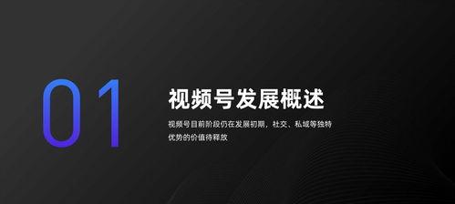 全面解析视频号运营技巧（打造优质内容，成功运营视频号）