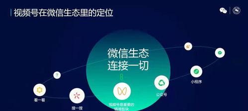 抖音搬运视频，永久封号的真相（真的会永久封号吗？一起来看看吧）