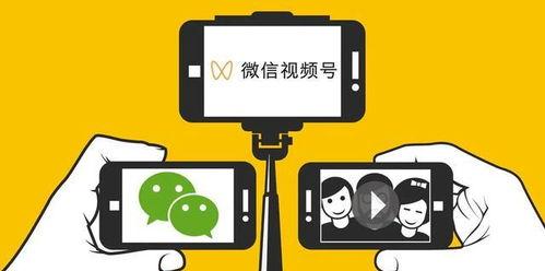 如何打造一个受欢迎的视频号（视频号运营，从入门到精通）