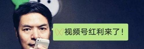 如何完成视频号认证（教你轻松通过视频号认证流程）