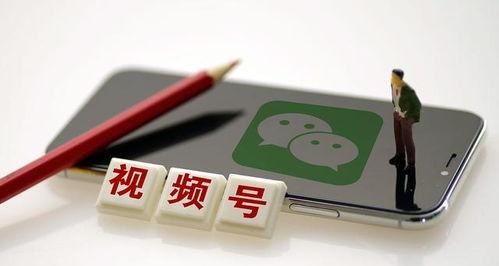 个性好听的视频号名字推荐（给你的创意注入新活力）