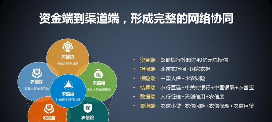 网站建设需要学习哪些知识（从域名到SEO）