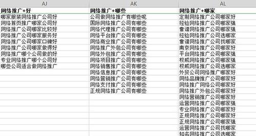 如何让长尾词参与网站排名（掌握关键技巧）