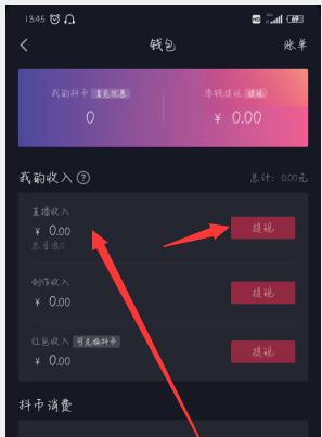 抖音收益提现攻略（了解如何将抖音收益变现）